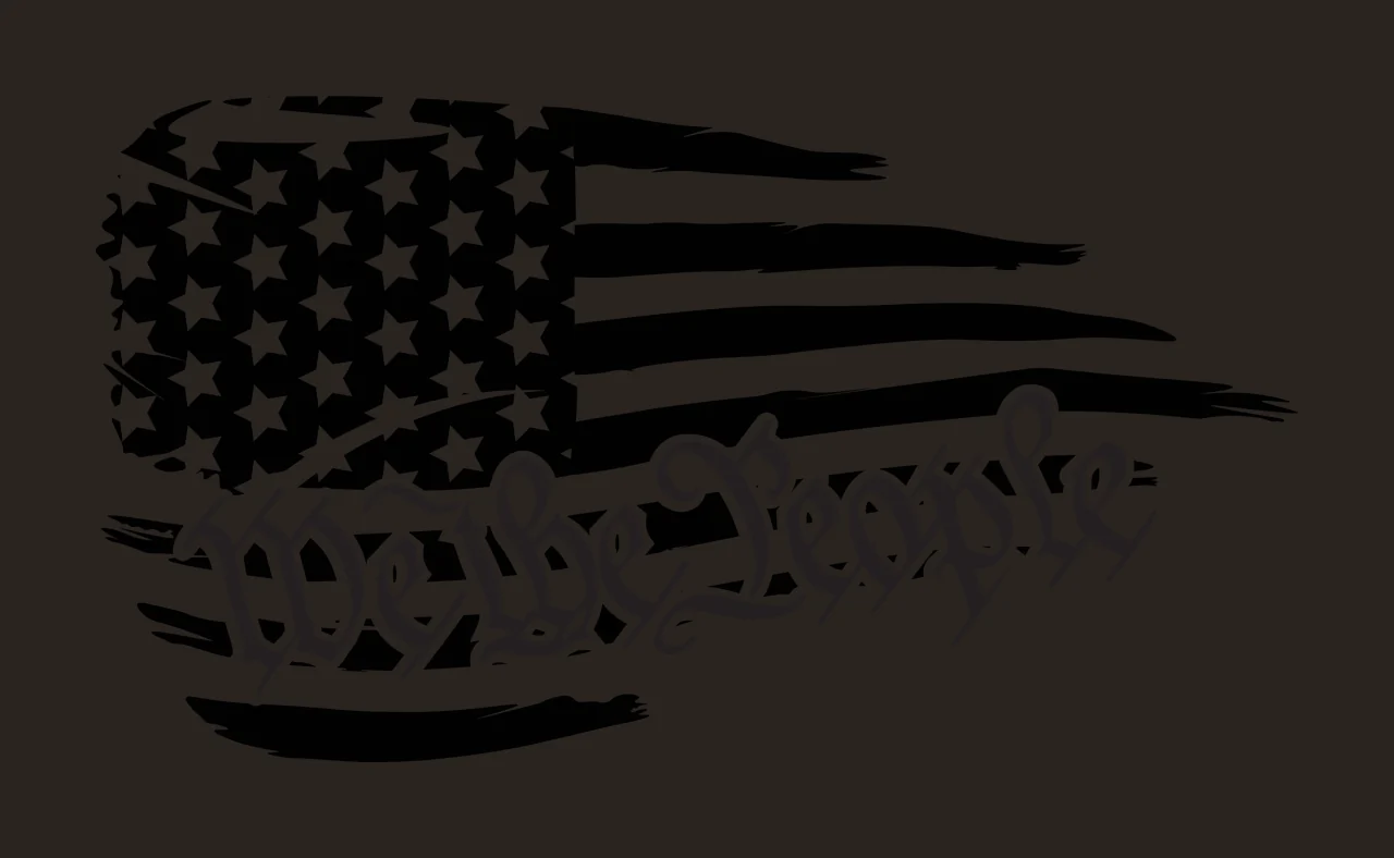We The People Stylized Flag Lettering curving star stripe calligraphy contrast preview thumbnail