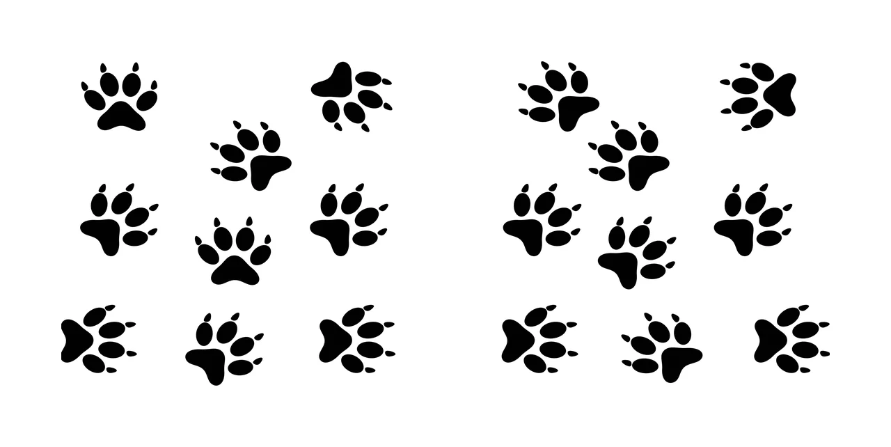 Paw Can Glass Wrap Animal Prints Pattern Design repeating pads