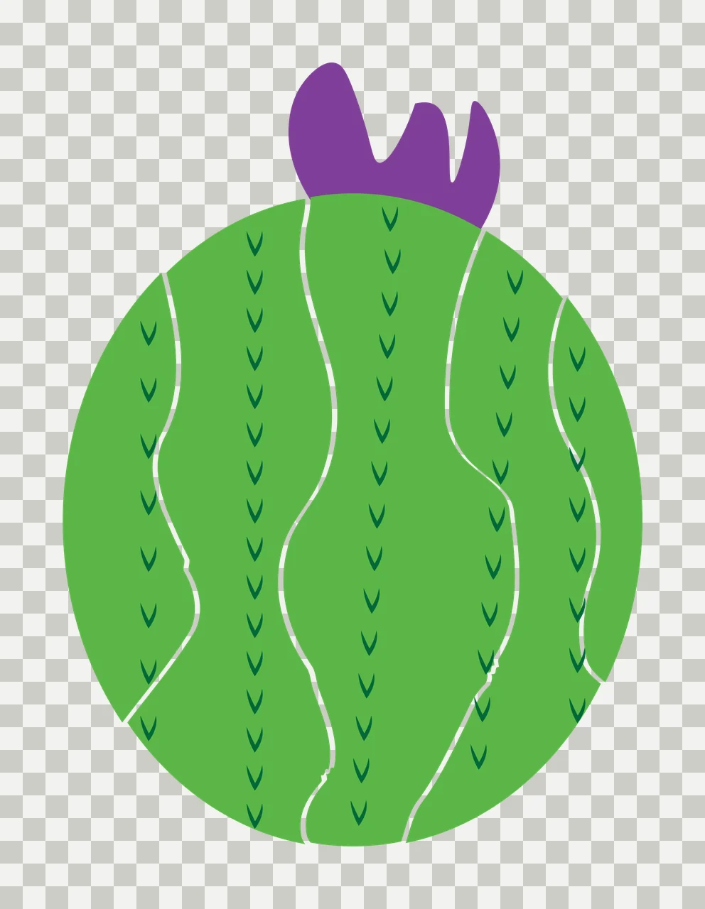 Round green cactus with purple top and green spines Illustration with green cactus body and white vertical lines in dark green transparency and detail preview thumbnail