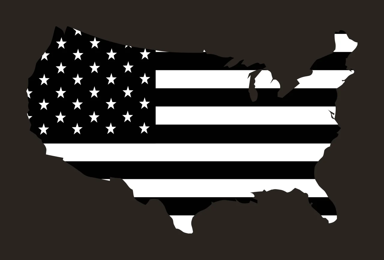 Flag Usa Map Silhouette Graphic stars stripes flat black white contrast preview thumbnail