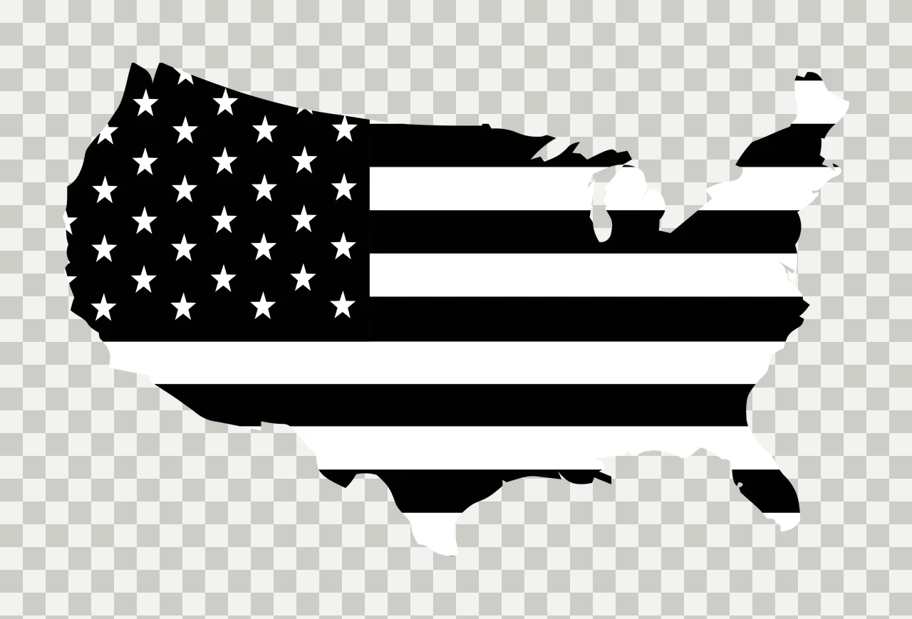 Flag Usa Map Silhouette Graphic stars stripes flat black white transparency and detail preview thumbnail