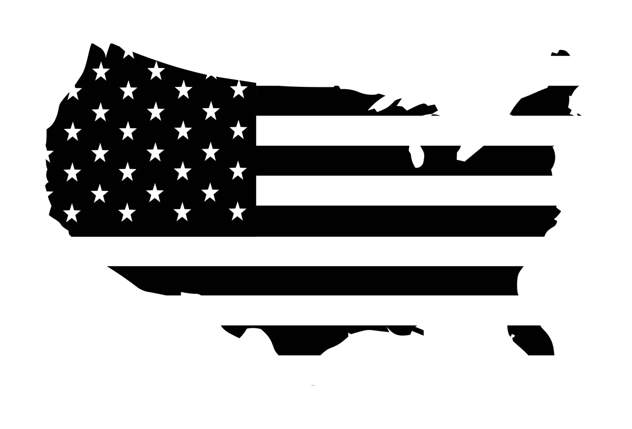 Flag Usa Map Silhouette Graphic stars stripes flat black white