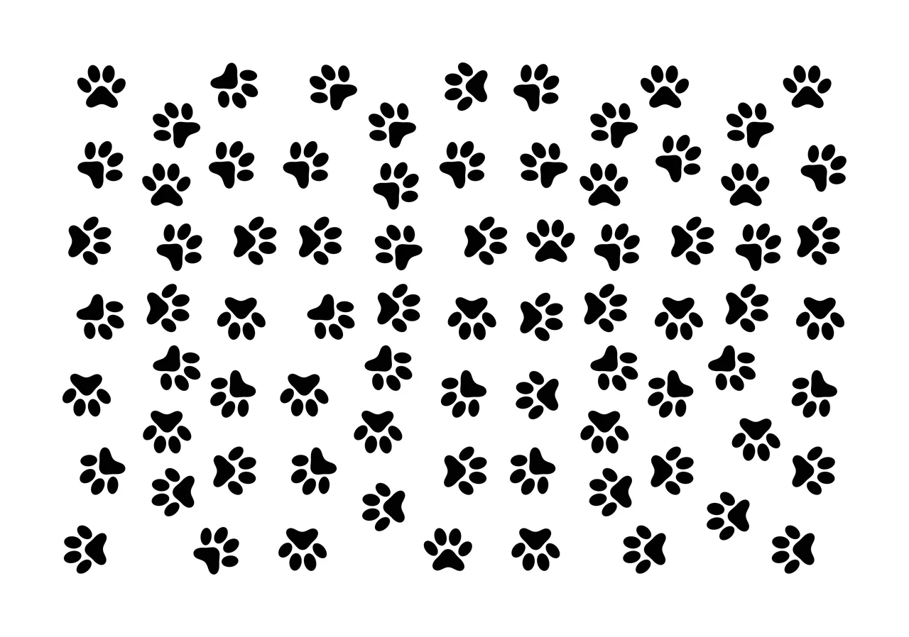 Paw prints Illustration with black paw prints, pattern, animal tracks and black and white