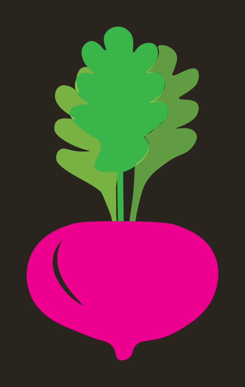 Beetroot Illustration with magenta root body, green leaves, stems and white highlight in hot pink and bright green contrast preview thumbnail