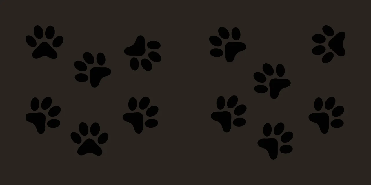 Paw Can Glass Wrap Group Of Animal Prints pads claws black contrast preview thumbnail