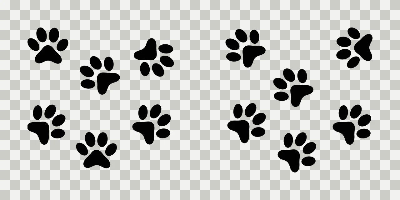 Paw Can Glass Wrap Group Of Animal Prints pads claws black transparency and detail preview thumbnail