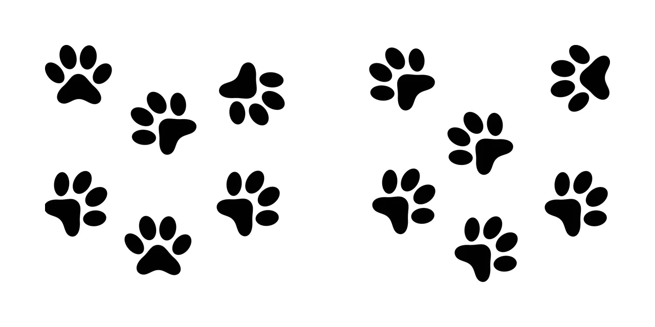 Paw Can Glass Wrap Group Of Animal Prints pads claws black