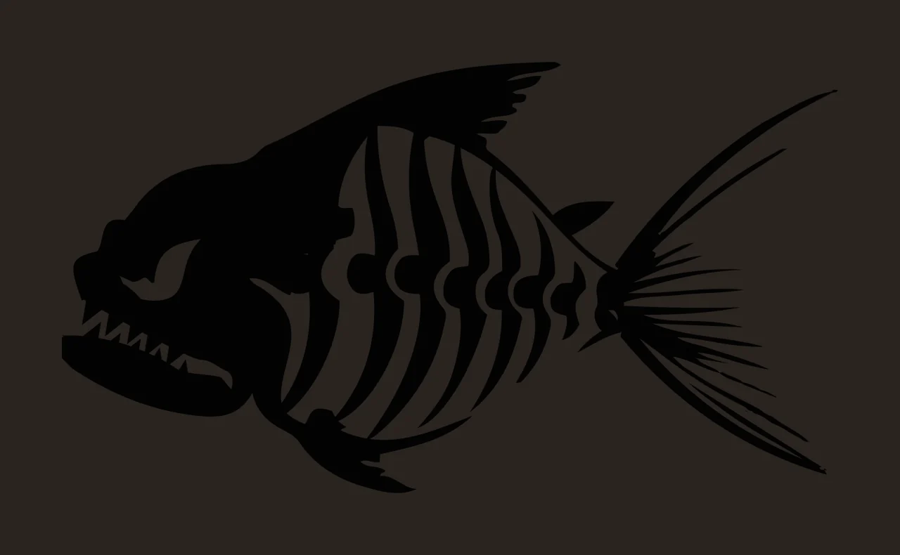 Black Silhouette Of A Fish With Visible Skeletal swimming skeleton contrast preview thumbnail