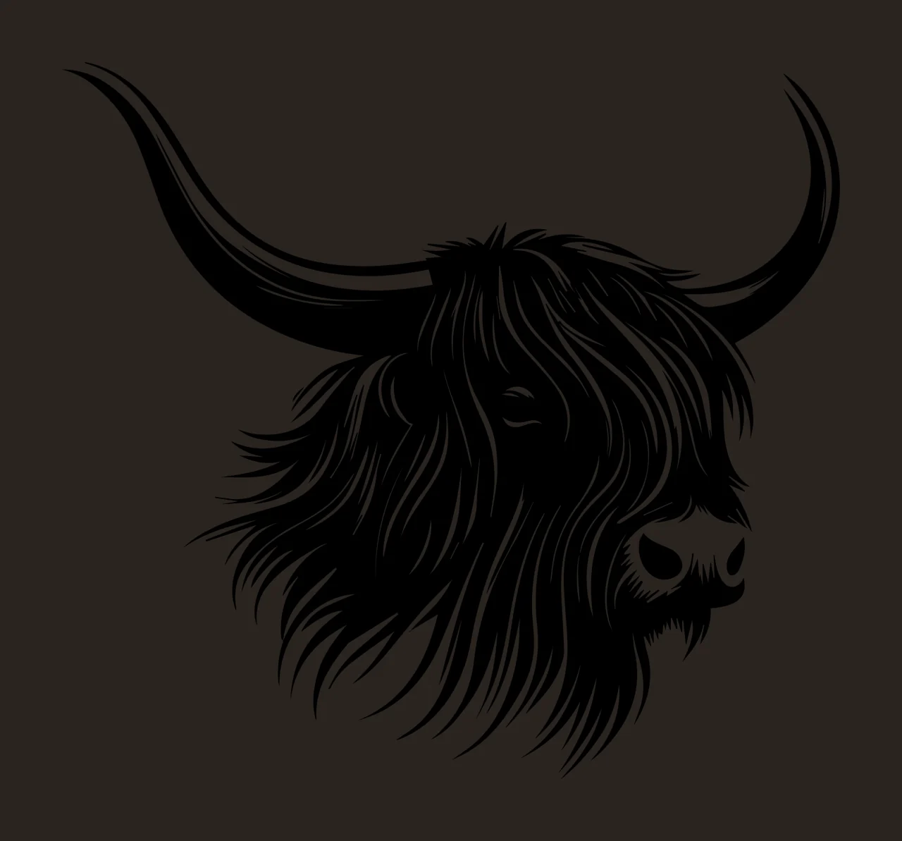 Black And White Highland Cattle Head facing forward horns hair contrast preview thumbnail