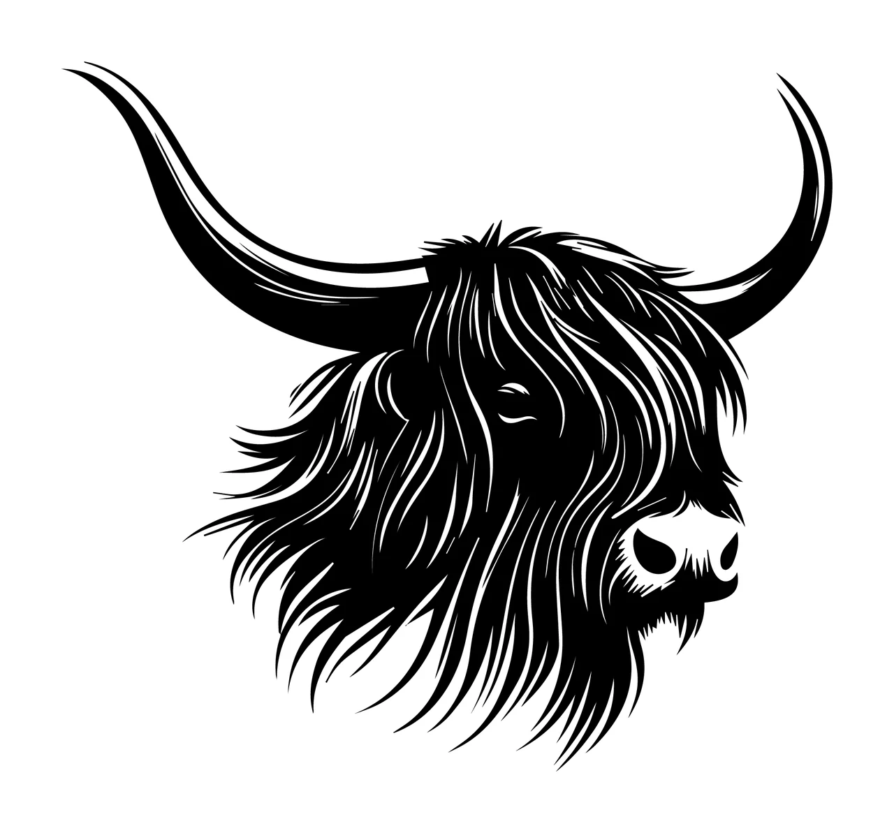 Black And White Highland Cattle Head facing forward horns hair