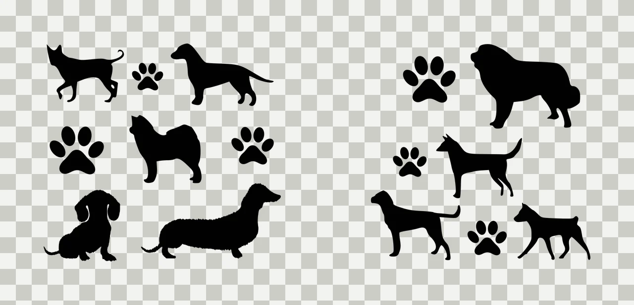 Paw Can Glass Wrap Dogs And Prints Pattern standing animals transparency and detail preview thumbnail
