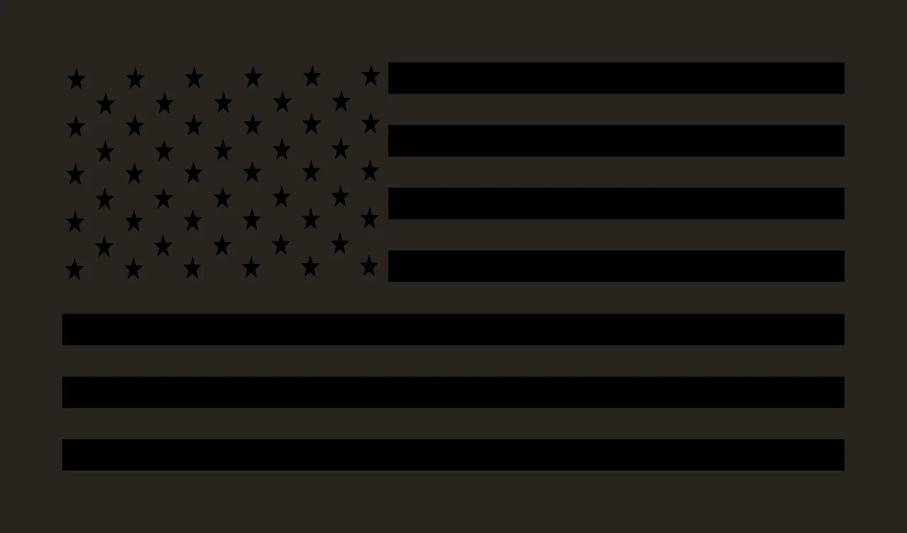 Flag A Black Silhouette Of The American stars stripes white contrast preview thumbnail