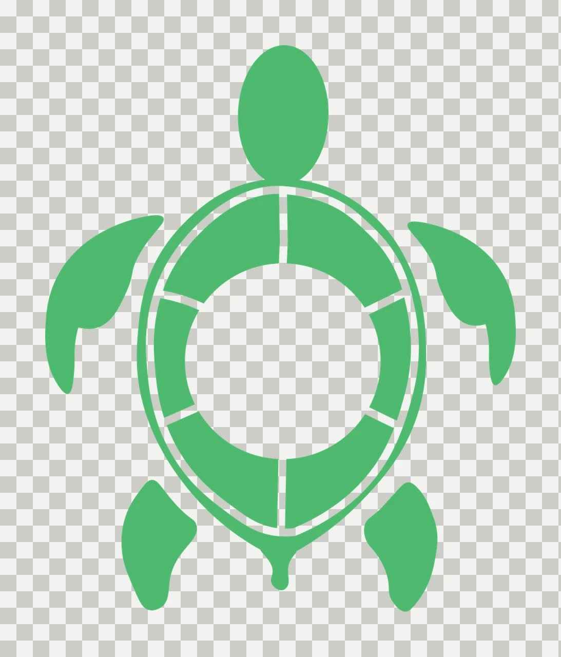 Sea turtle Illustration with turtle head, flippers, segmented shell and tail in green and white transparency and detail preview thumbnail