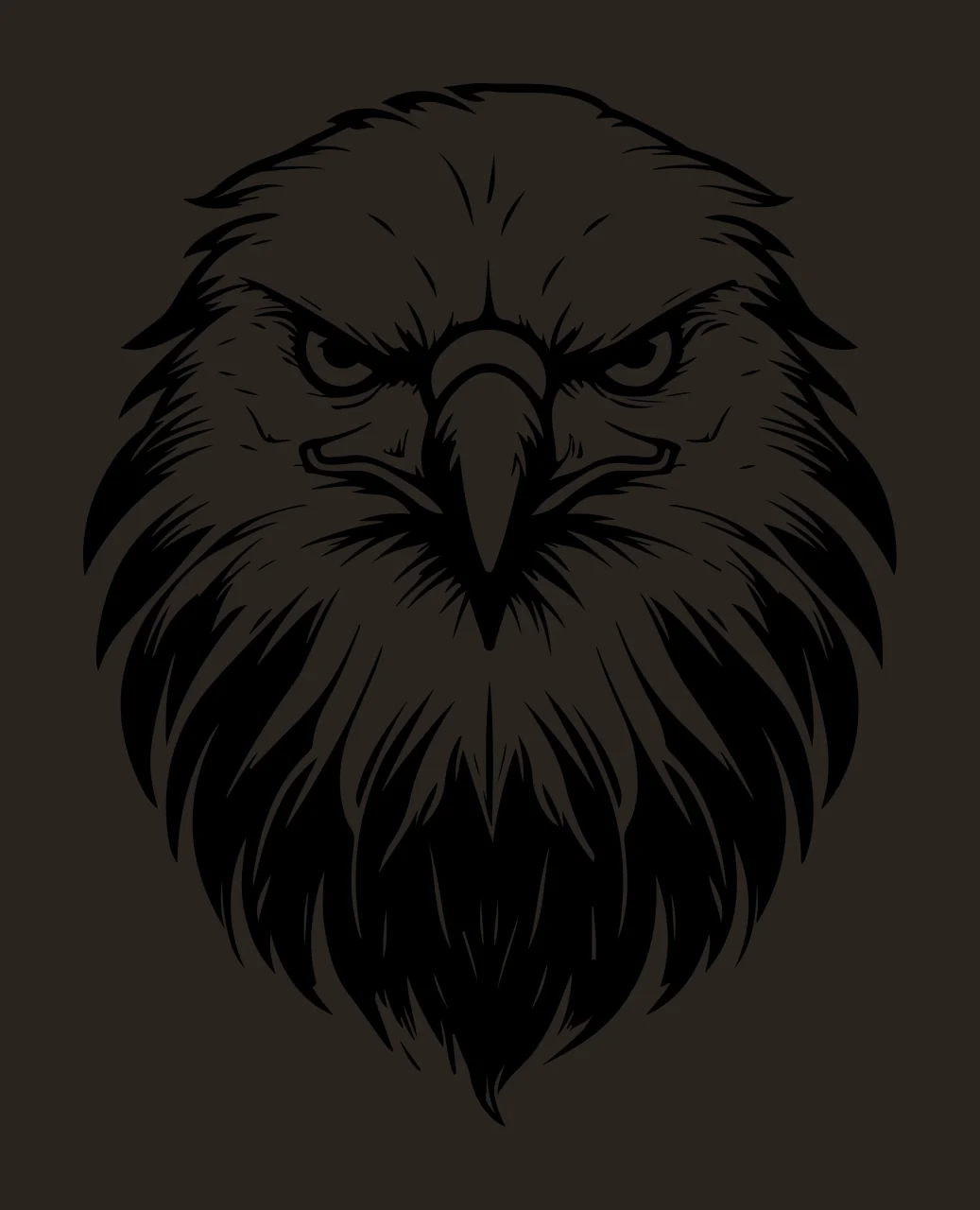 Eagle Head Front View Graphic staring bird feathers beak detailed contrast preview thumbnail
