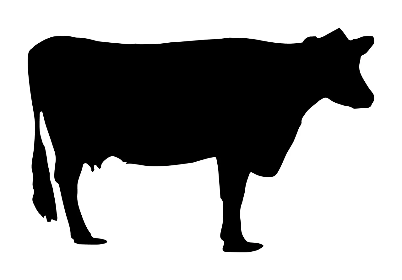 Can Glass Wrap Cow Standing With Animal