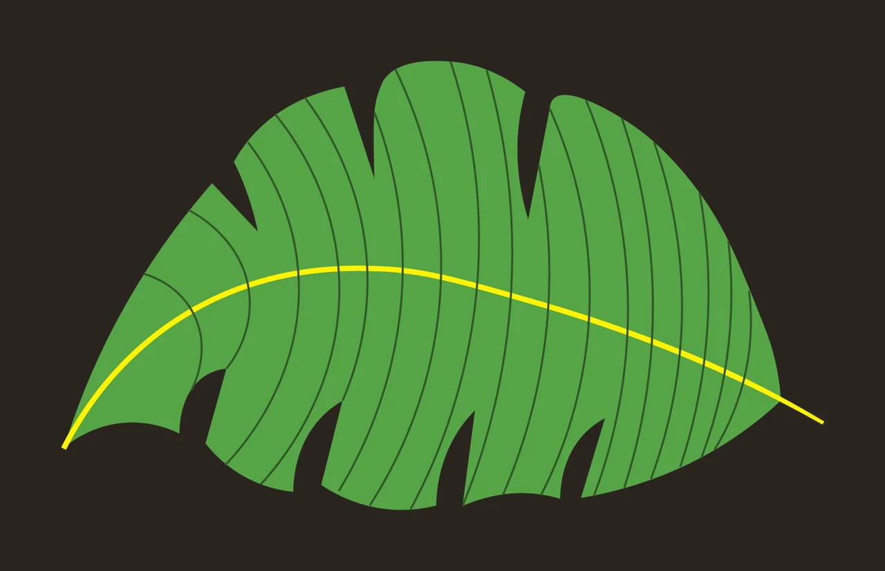 Single Solid Black Silhouette Of A Large Tropical leaf veins contrast preview thumbnail
