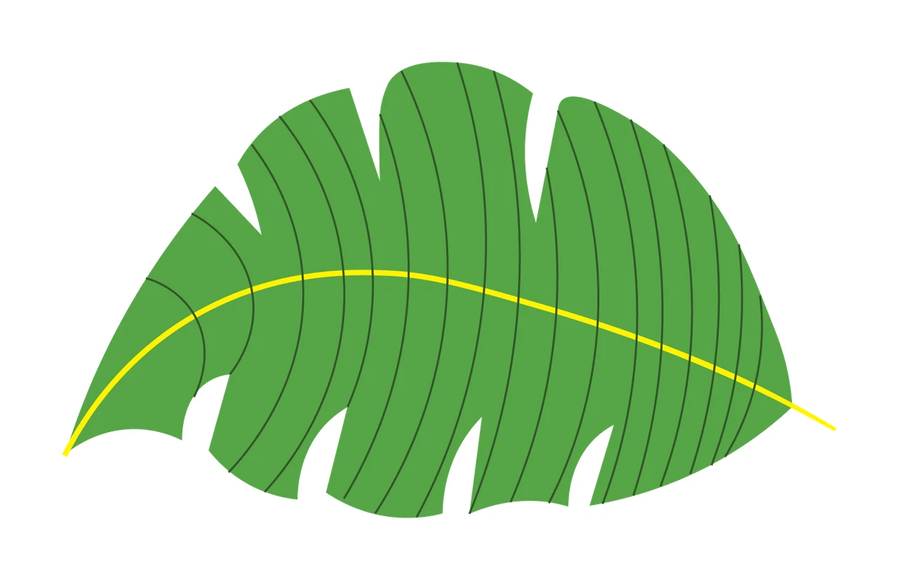 Single Solid Black Silhouette Of A Large Tropical leaf veins