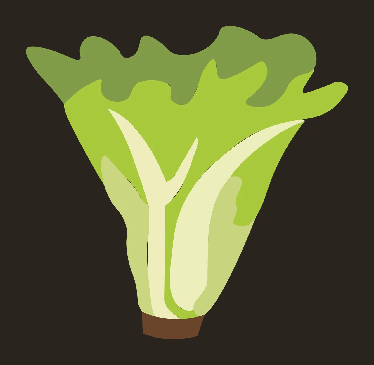 Romaine lettuce Illustration with lettuce leaves, stalks, wavy leaf edges and cut stem base in green, light green and dark green contrast preview thumbnail