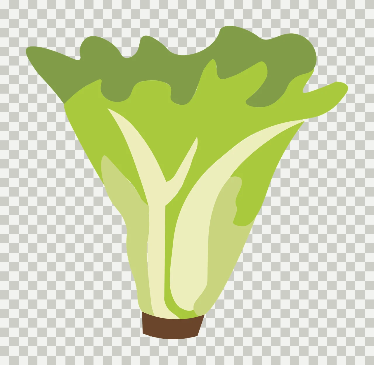 Romaine lettuce Illustration with lettuce leaves, stalks, wavy leaf edges and cut stem base in green, light green and dark green transparency and detail preview thumbnail