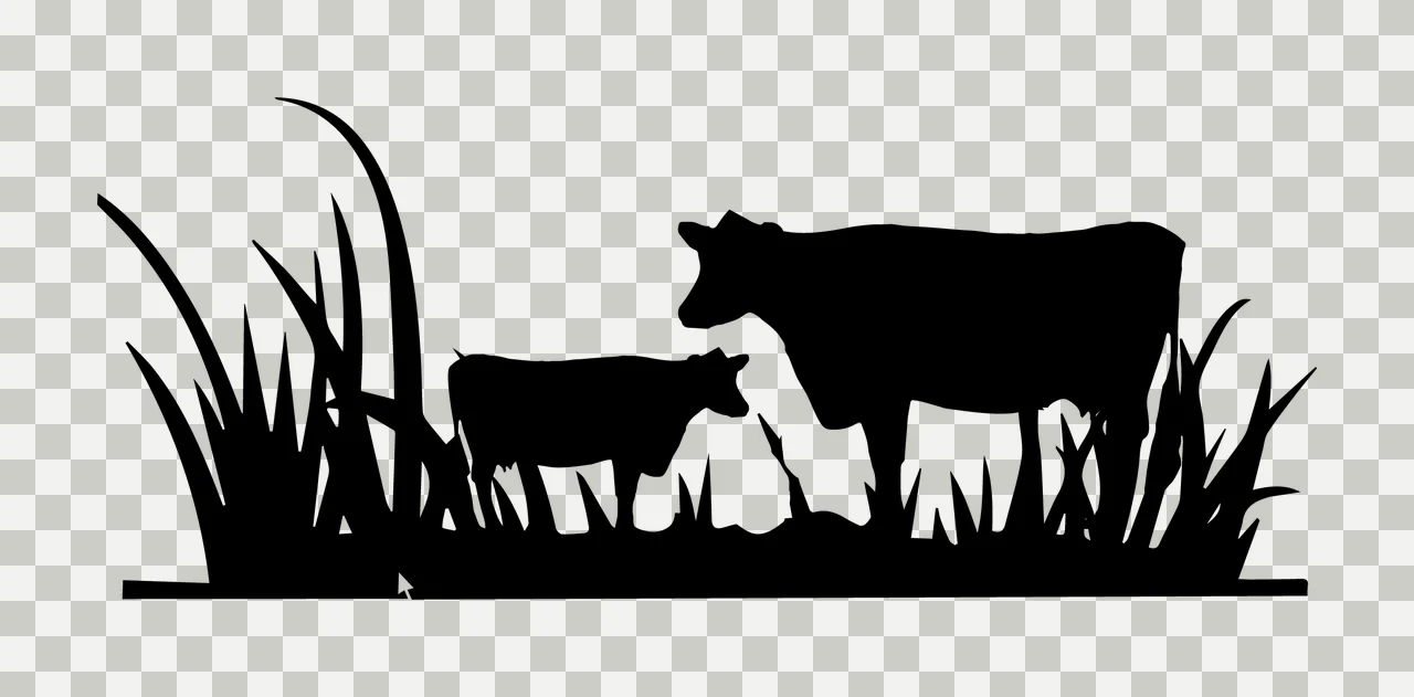 Cows Standing In Grassy Field Silhouette grass black white transparency and detail preview thumbnail