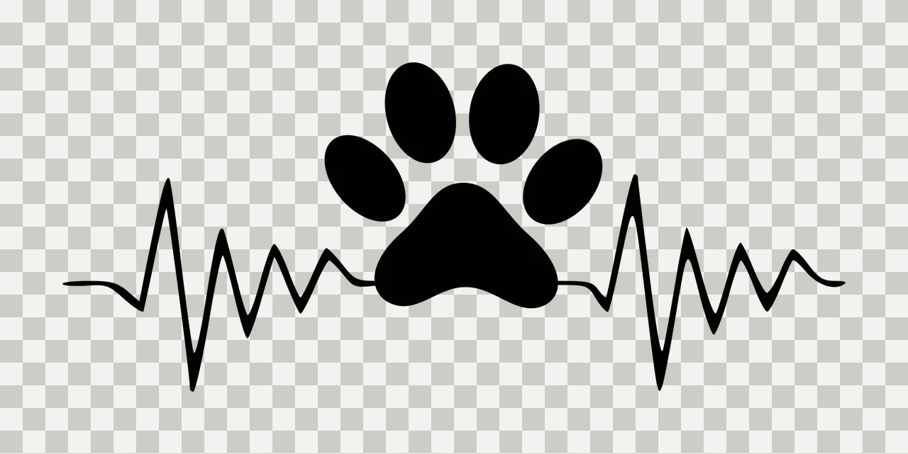 Silhouette Design of Paw print integrated with heartbeat line with black paw print, heart rate line, four toe pads and central pad in white transparency and detail preview thumbnail