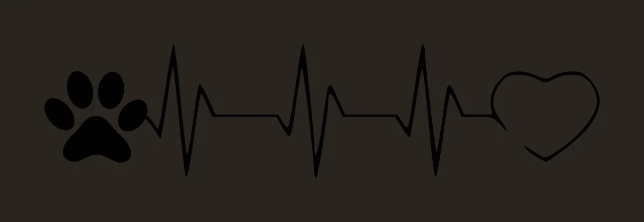 Paw print with heartbeat line leading to heart outline Illustration with black paw print contrast preview thumbnail