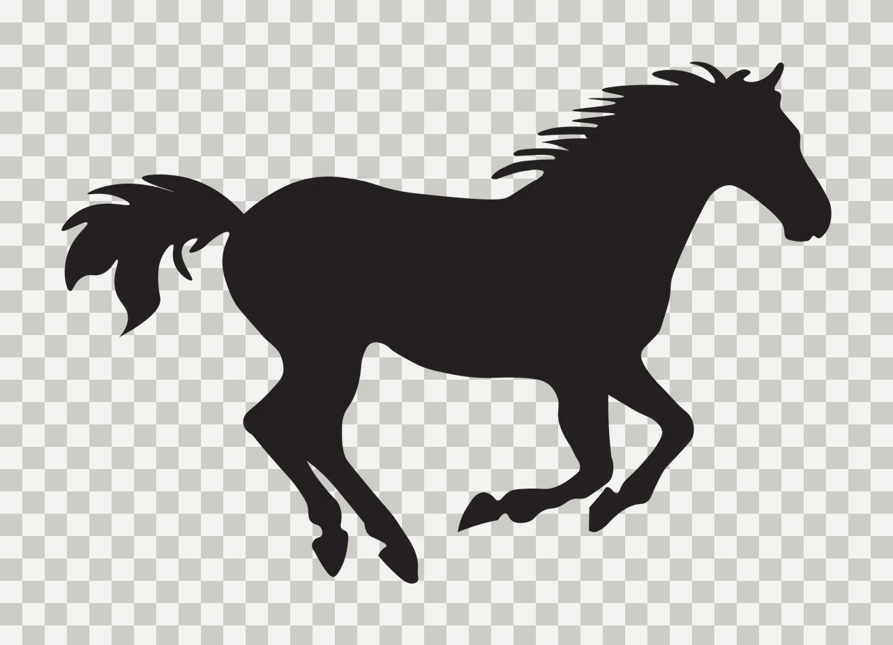 Horse silhouette Illustration with running and galloping in black and white transparency and detail preview thumbnail