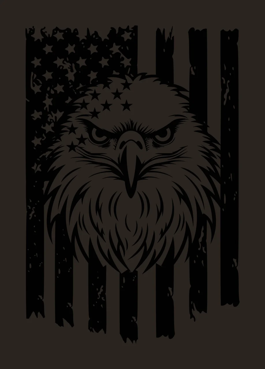 Eagle Flag Face And Distressed staring stars stripes black contrast preview thumbnail