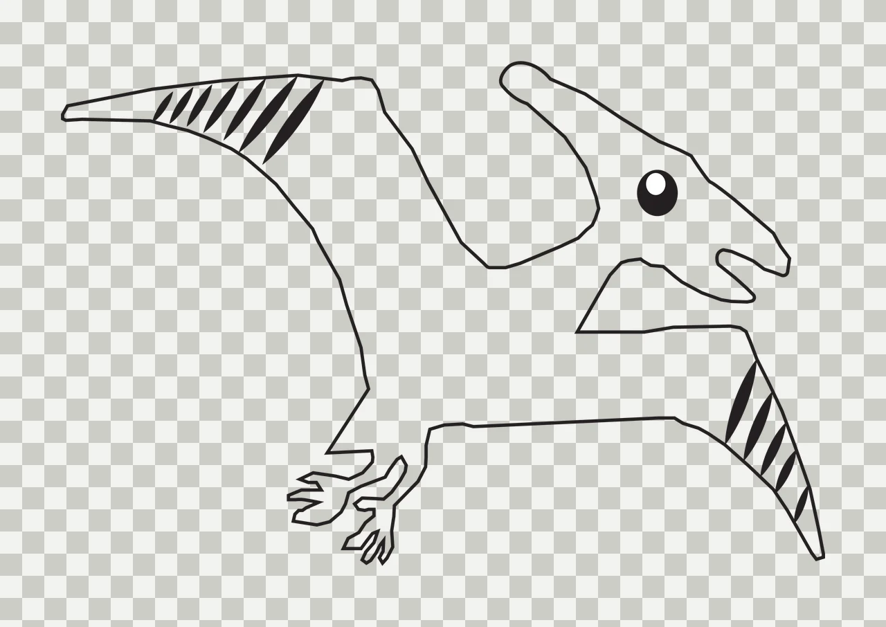 Dinosaur Flying Pterosaur Outline Drawing circle line art black transparency and detail preview thumbnail