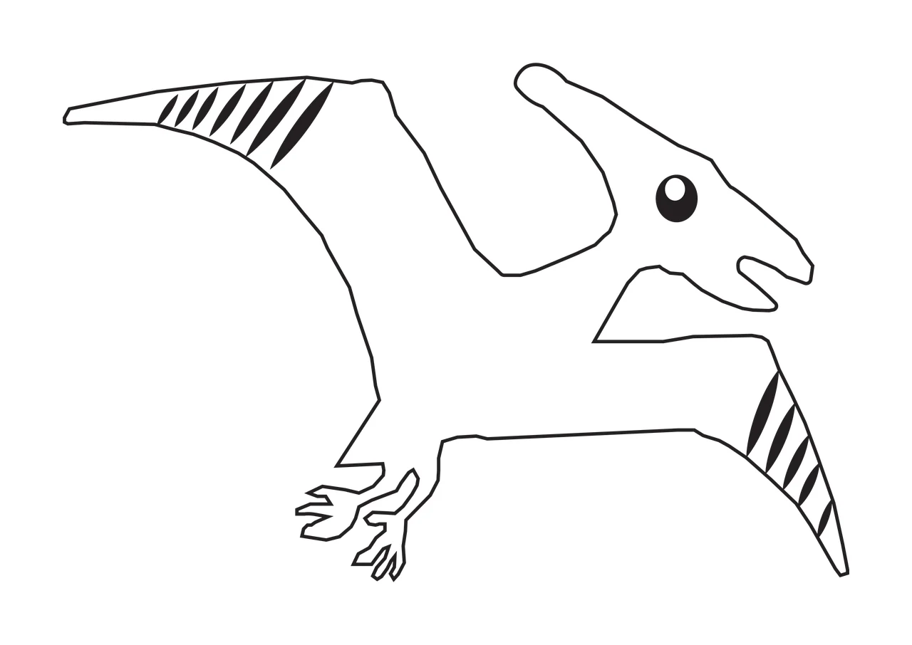 Dinosaur Flying Pterosaur Outline Drawing circle line art black