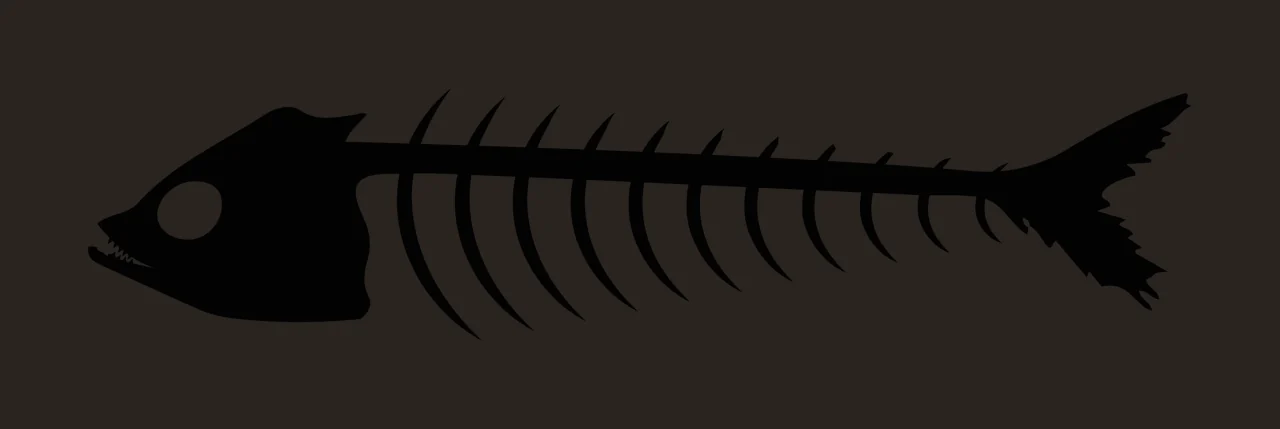 Bones Side View Silhouette Of A Fish Skeleton black white nature contrast preview thumbnail