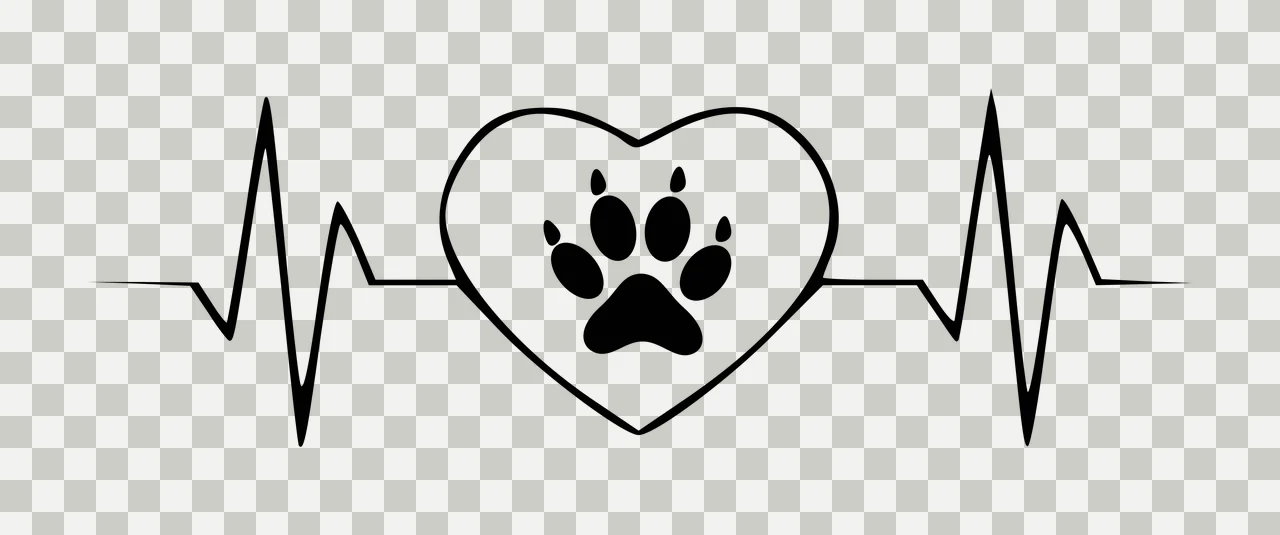 Heart-shaped design with paw print and heartbeat line with heart shape in black and white transparency and detail preview thumbnail