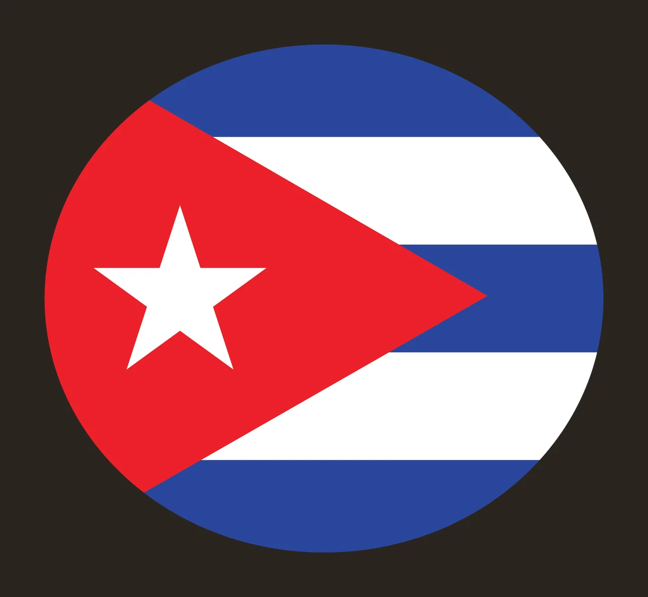 Circular Flag With Star Shape circle triangle lines black white contrast preview thumbnail