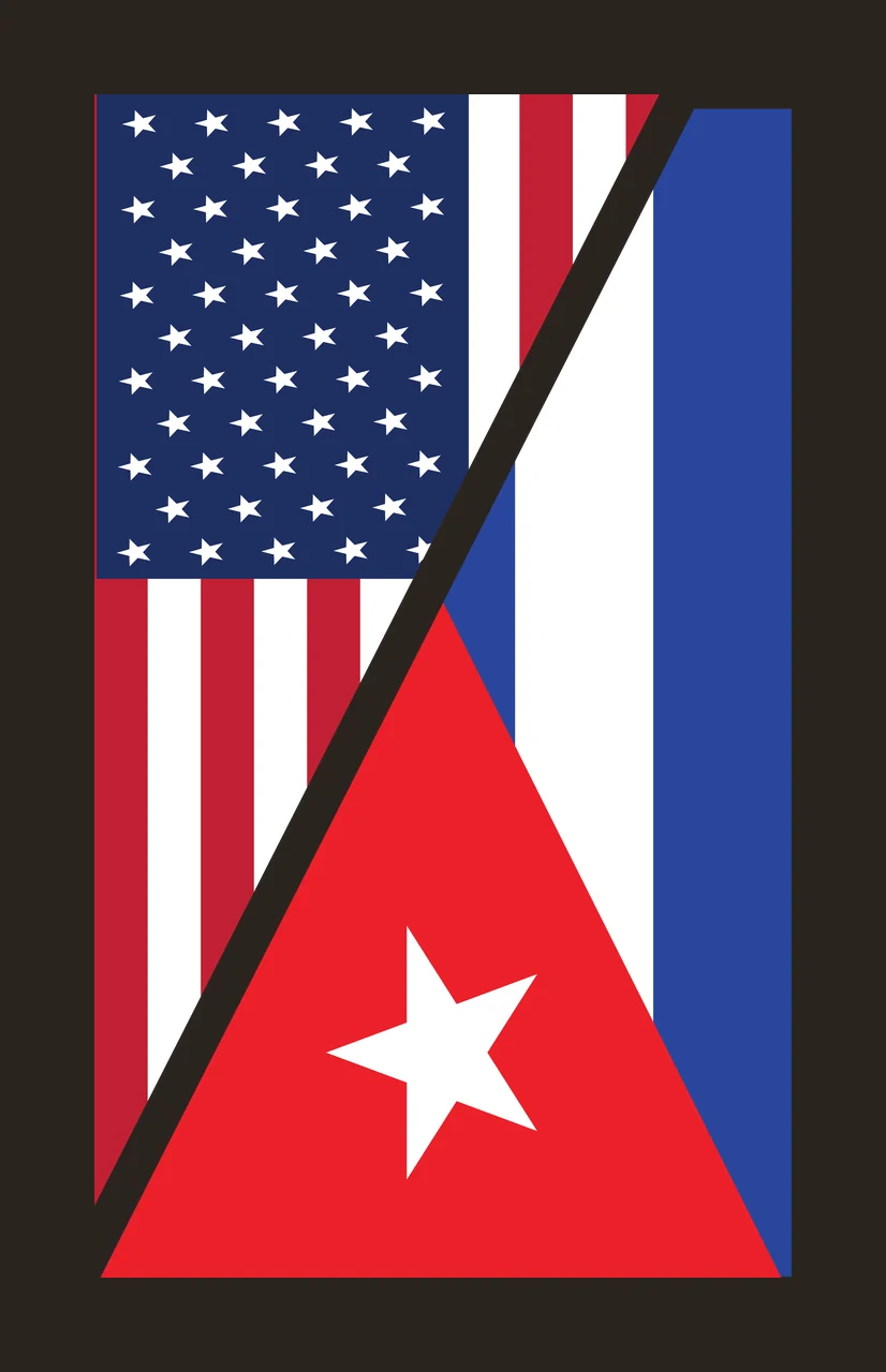 American Flag Divided Star Graphic stars stripes minimalist contrast preview thumbnail