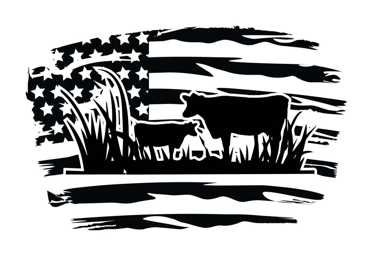 Flag Cattle Grazing On American Silhouette stars stripes grass