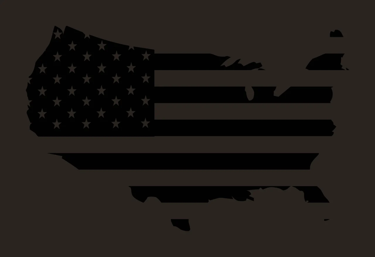 Flag Map Silhouette Pattern outline Fill stars horizontal lines contrast preview thumbnail