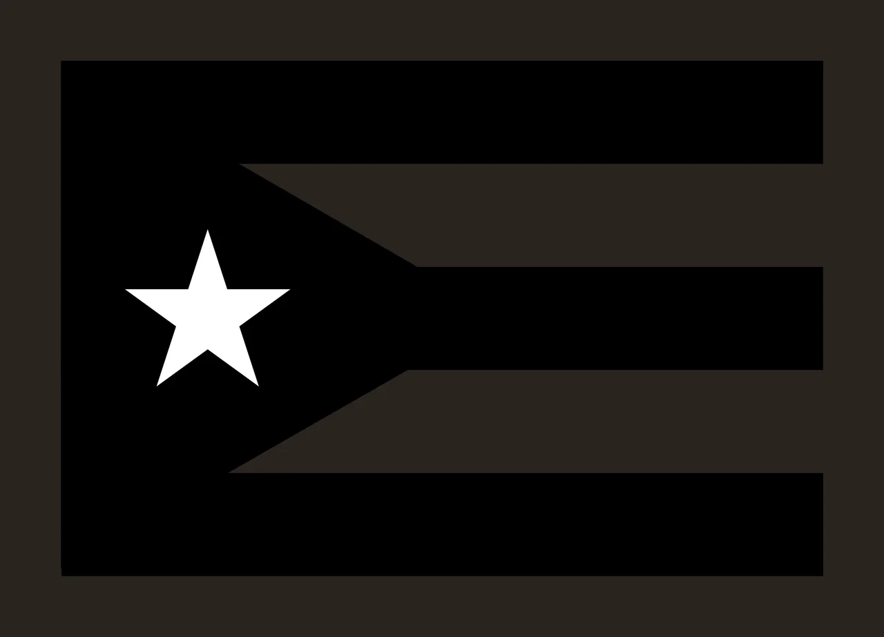Flag design with star, triangle, chevron and horizontal stripes in black and white contrast preview thumbnail