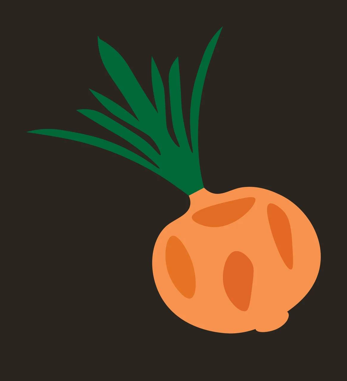 Onion bulb Illustration with orange bulb, dark green leaves, white roots and shading spots contrast preview thumbnail