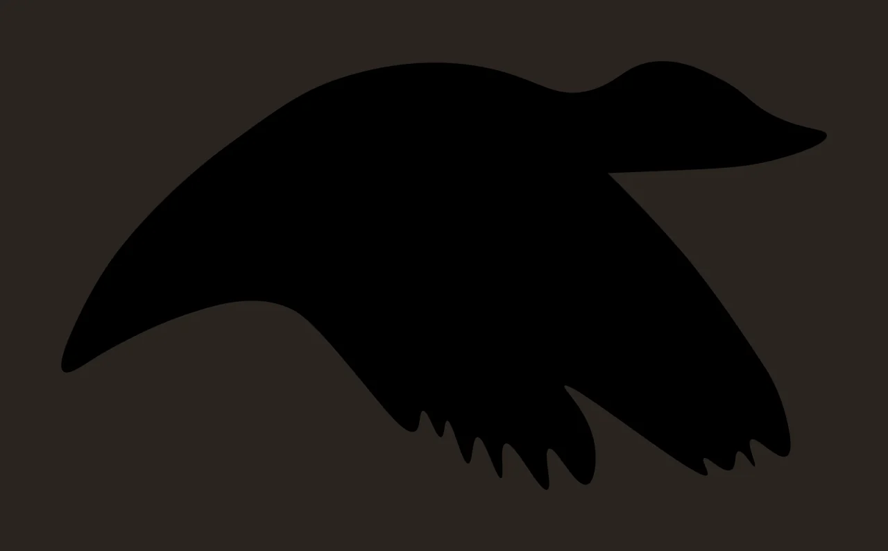 Can Glass Wrap Bird Soaring With Silhouette contrast preview thumbnail
