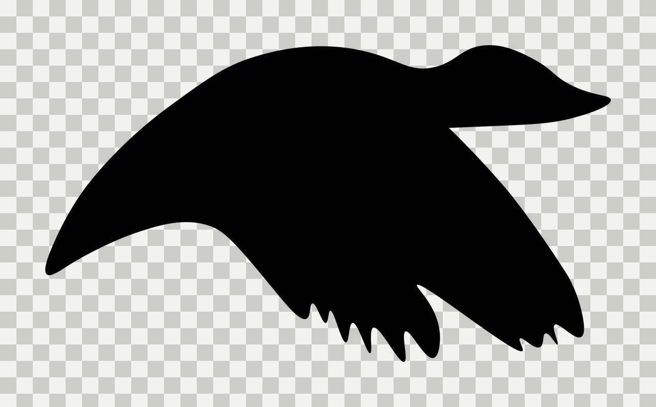 Can Glass Wrap Bird Soaring With Silhouette transparency and detail preview thumbnail