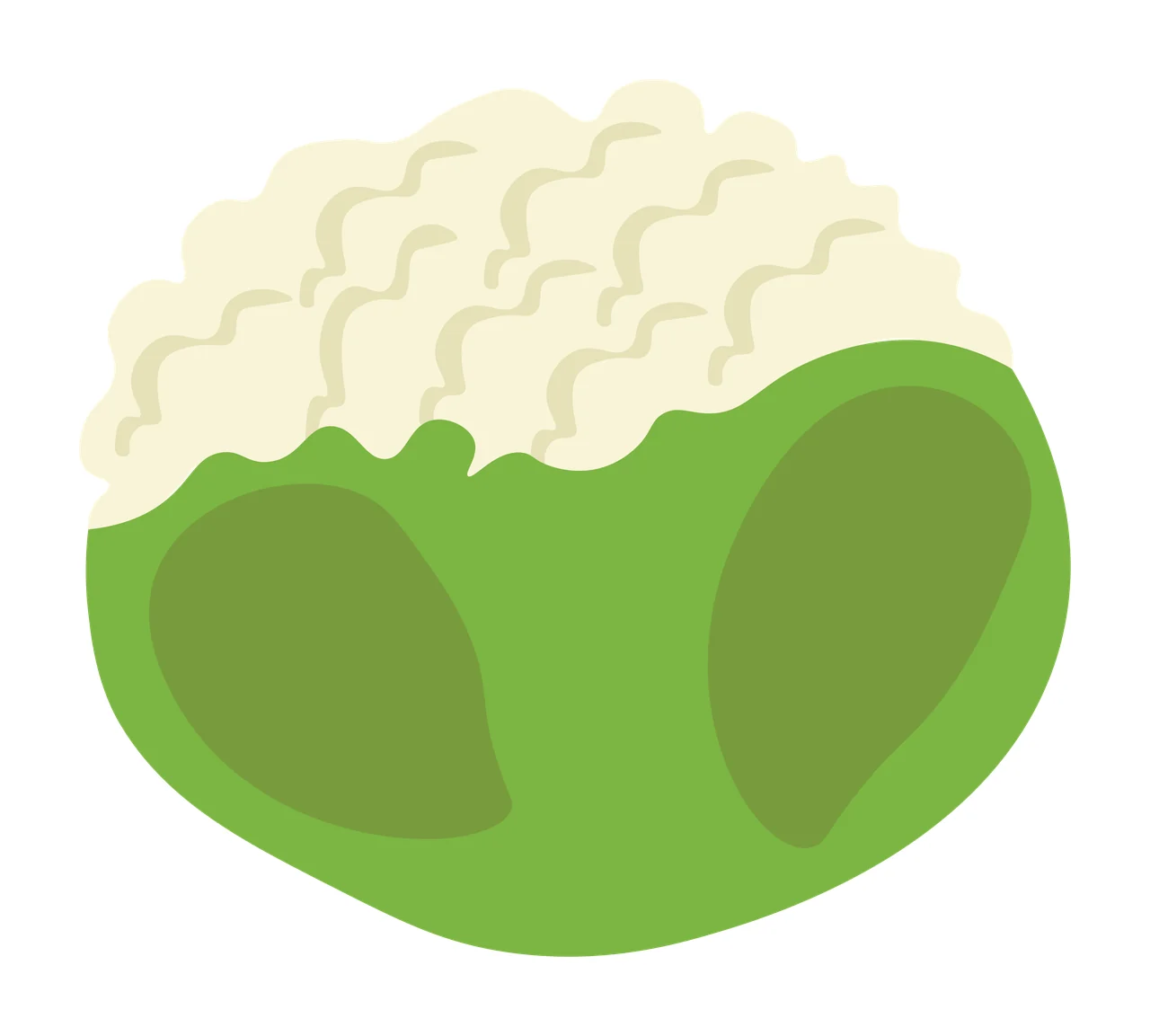 Cauliflower Illustration with cauliflower head, curd florets, green leaves and outer jacket in cream and olive green